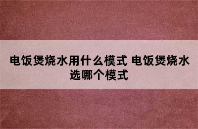 电饭煲烧水用什么模式 电饭煲烧水选哪个模式